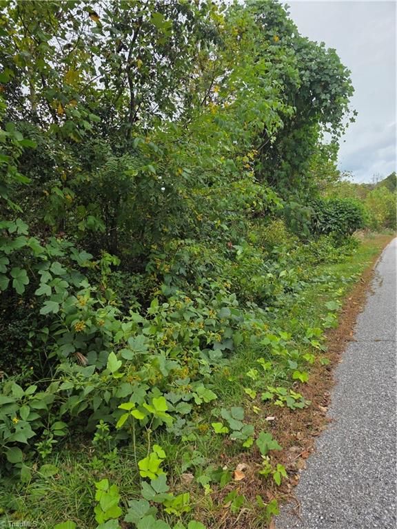 000 Holly Brook Street, North Wilkesboro, NC 28659