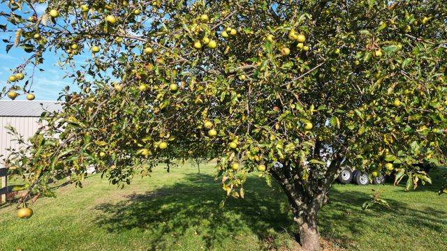 1178 E 418th Road, Bolivar, MO 65613