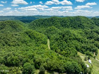 Tbd Lick Creek Drive, Fort Blackmore, VA 24250