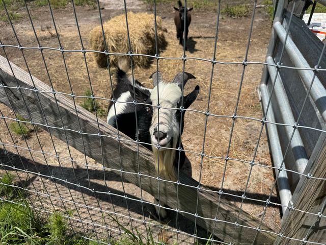 661 Woodrow Road, Estill, SC 29918