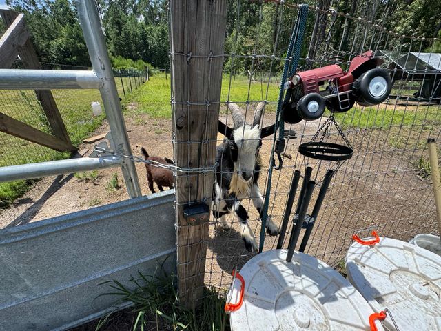 661 Woodrow Road, Estill, SC 29918