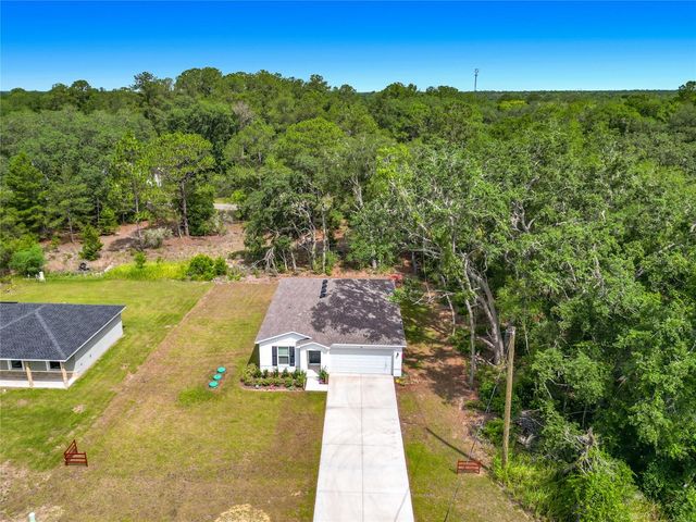 50 BAY ROAD, Ocklawaha, FL 32179