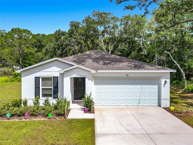 50 BAY ROAD, Ocklawaha, FL 32179