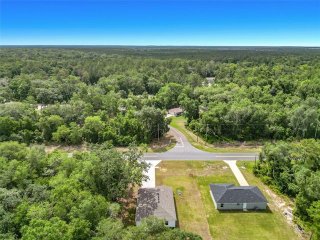 50 BAY ROAD, Ocklawaha, FL 32179