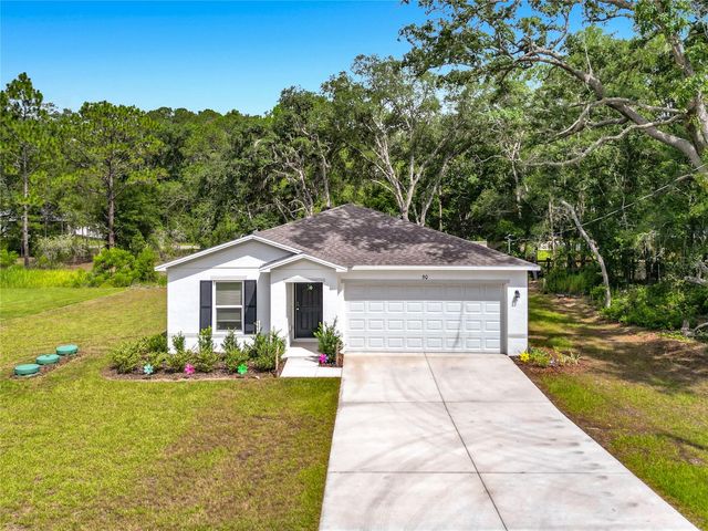 50 BAY ROAD, Ocklawaha, FL 32179