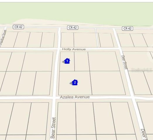 28520 HOLLY AVENUE, Paisley, FL 32767