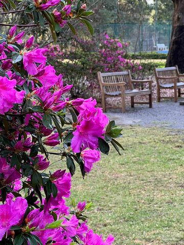 28250 Canal Rd 207, Orange Beach, AL 36561