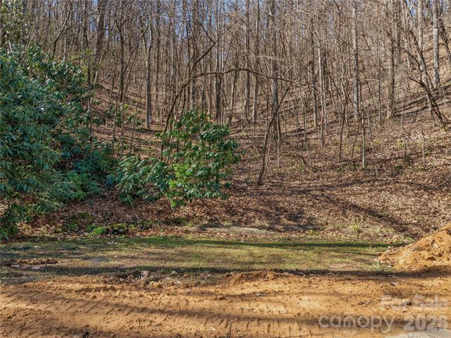 0000 Panther Mountain Road 18, Zirconia, NC 28790