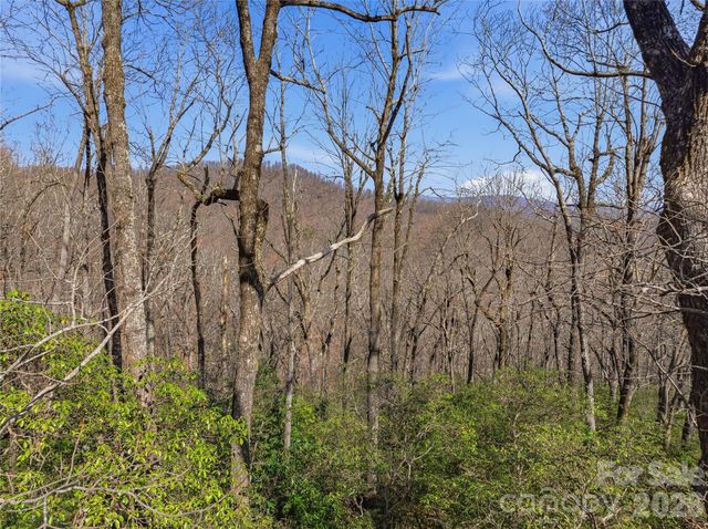 0000 Panther Mountain Road 18, Zirconia, NC 28790