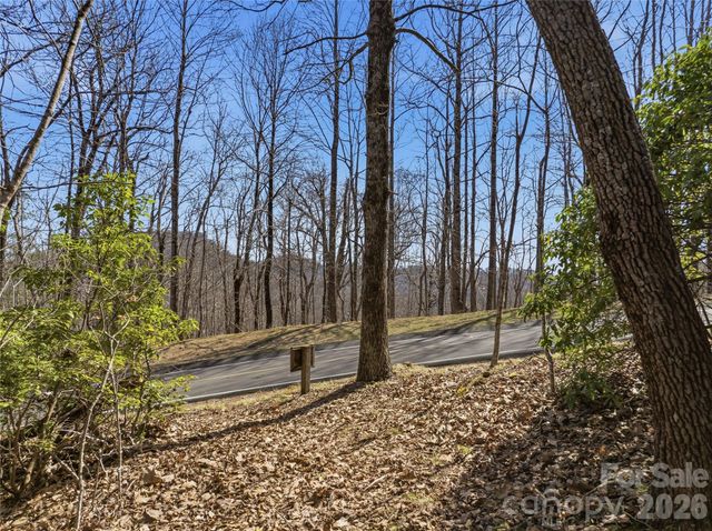 0000 Panther Mountain Road 18, Zirconia, NC 28790