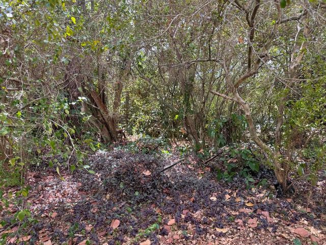 3358 S Jog Road, Greenacres, FL 33467