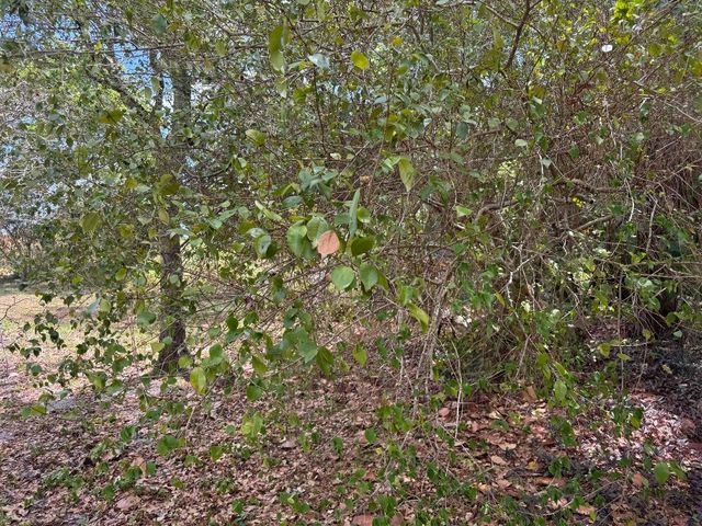 3358 S Jog Road, Greenacres, FL 33467