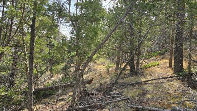 Lot 5505 Balleroy Road, Fort Garland, CO 81133