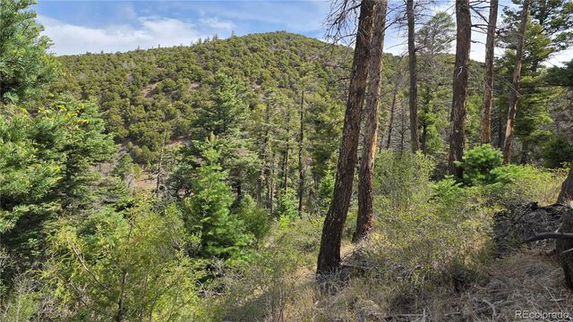 Lot 5505 Balleroy Road, Fort Garland, CO 81133