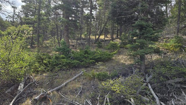 Lot 5505 Balleroy Road, Fort Garland, CO 81133