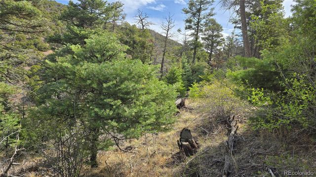 Lot 5505 Balleroy Road, Fort Garland, CO 81133