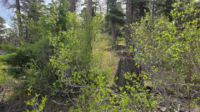 Lot 5505 Balleroy Road, Fort Garland, CO 81133