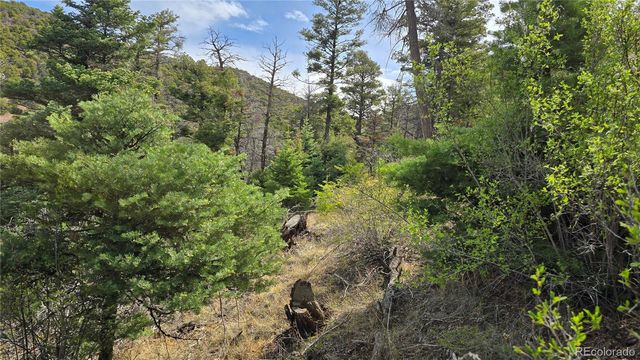 Lot 5505 Balleroy Road, Fort Garland, CO 81133