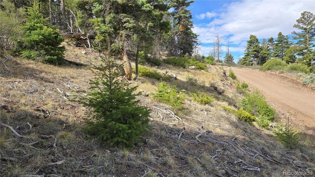 Lot 5505 Balleroy Road, Fort Garland, CO 81133