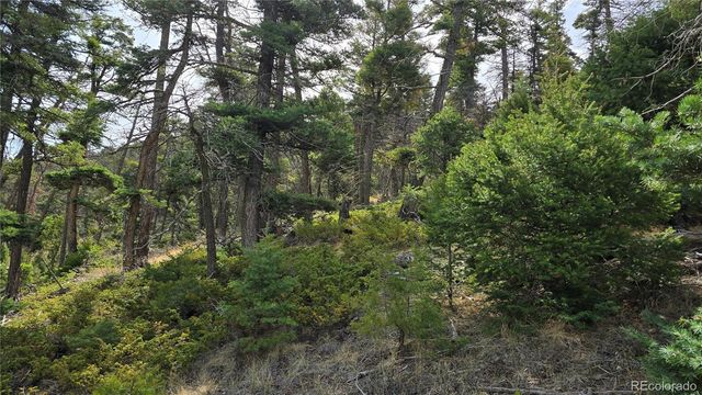 Lot 5505 Balleroy Road, Fort Garland, CO 81133