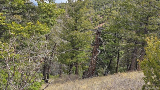 Lot 5505 Balleroy Road, Fort Garland, CO 81133