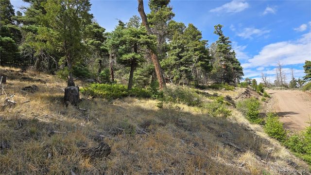 Lot 5505 Balleroy Road, Fort Garland, CO 81133