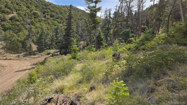 Lot 5505 Balleroy Road, Fort Garland, CO 81133