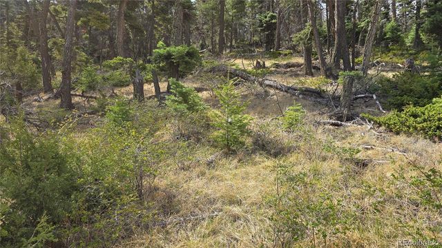 Lot 5505 Balleroy Road, Fort Garland, CO 81133