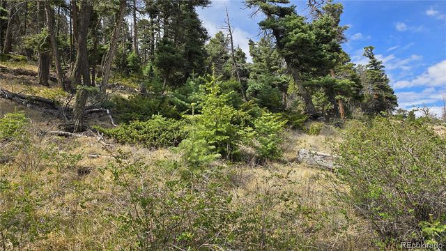 Lot 5505 Balleroy Road, Fort Garland, CO 81133
