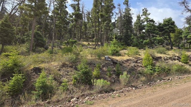 Lot 5505 Balleroy Road, Fort Garland, CO 81133