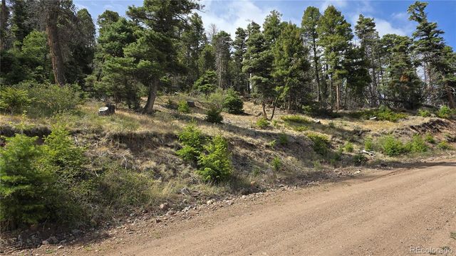 Lot 5505 Balleroy Road, Fort Garland, CO 81133