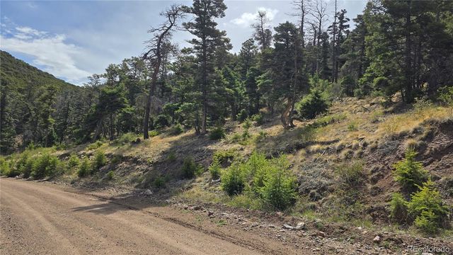 Lot 5505 Balleroy Road, Fort Garland, CO 81133