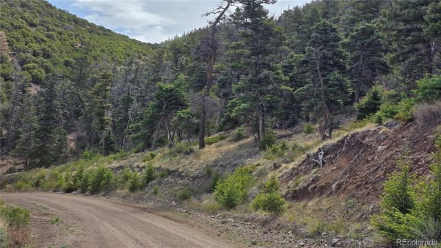 Lot 5505 Balleroy Road, Fort Garland, CO 81133
