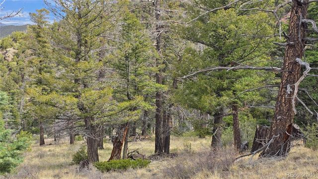 Lot 5505 Balleroy Road, Fort Garland, CO 81133