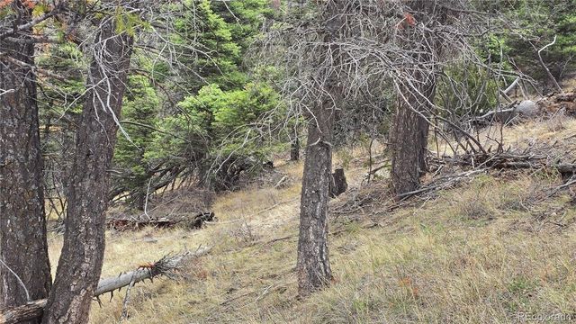 Lot 5505 Balleroy Road, Fort Garland, CO 81133