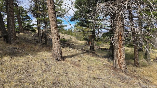 Lot 5505 Balleroy Road, Fort Garland, CO 81133