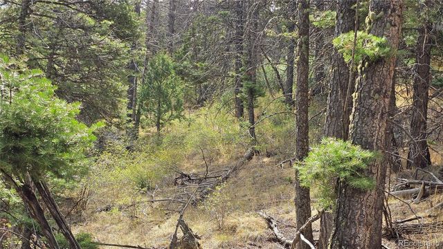 Lot 5505 Balleroy Road, Fort Garland, CO 81133