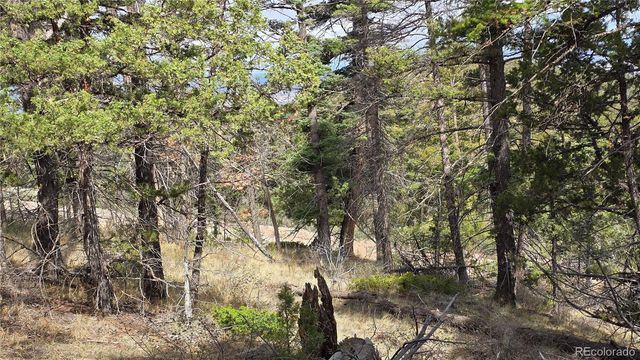Lot 5505 Balleroy Road, Fort Garland, CO 81133