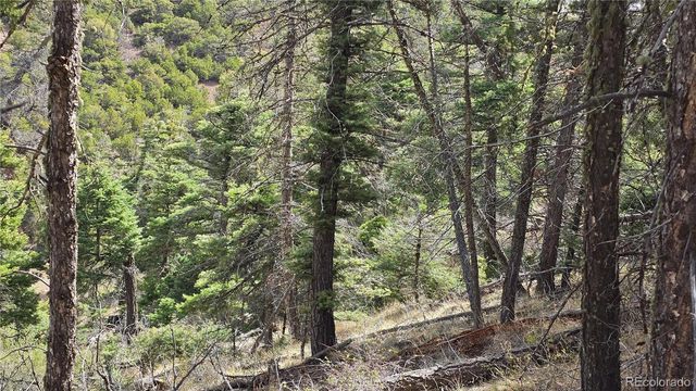 Lot 5505 Balleroy Road, Fort Garland, CO 81133