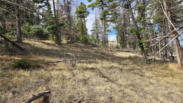 Lot 5505 Balleroy Road, Fort Garland, CO 81133