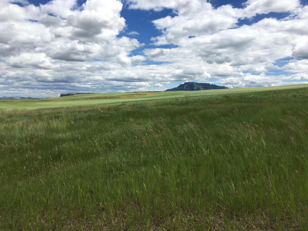 Flat Creek Road, Geraldine, MT 59446