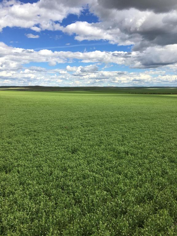 Flat Creek Road, Geraldine, MT 59446 photo 12
