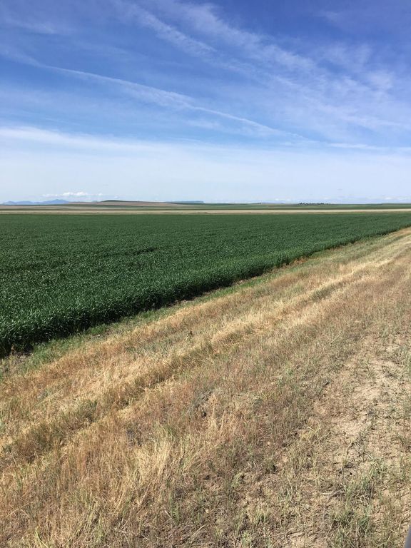 Flat Creek Road, Geraldine, MT 59446 photo 3