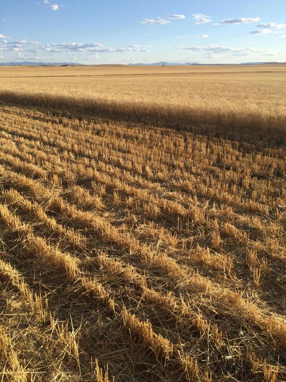 Flat Creek Road, Geraldine, MT 59446 photo 4