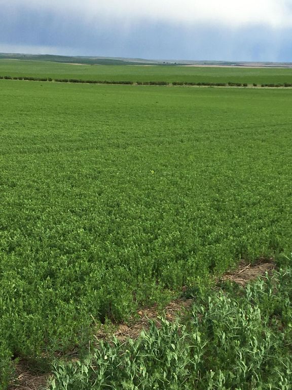 Flat Creek Road, Geraldine, MT 59446 photo 9