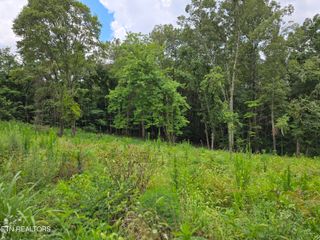 270 Wells Rd, Powell, TN 37849