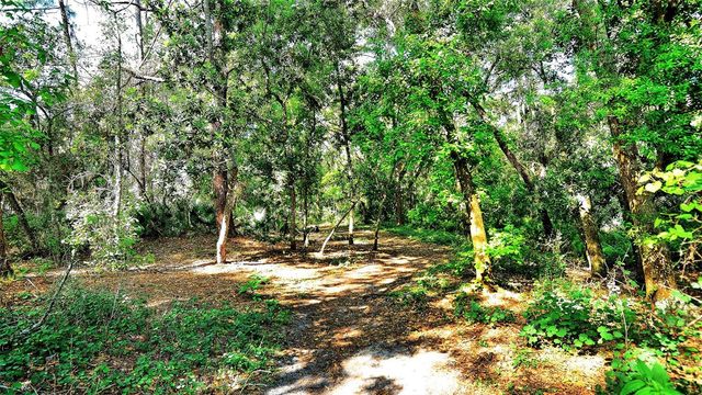 3262 CROSS CREEK DRIVE 3262, Sarasota, FL 34231