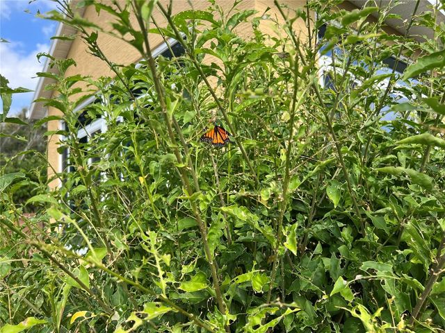 81 TWIN LAKE CIRCLE, Umatilla, FL 32784