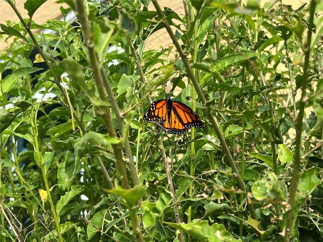 81 TWIN LAKE CIRCLE, Umatilla, FL 32784