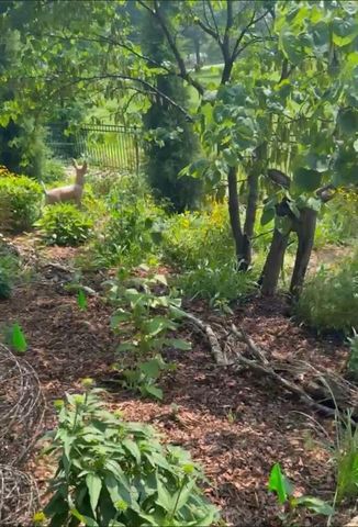 24908 E Timberlake Drive, Greenwood, MO 64086